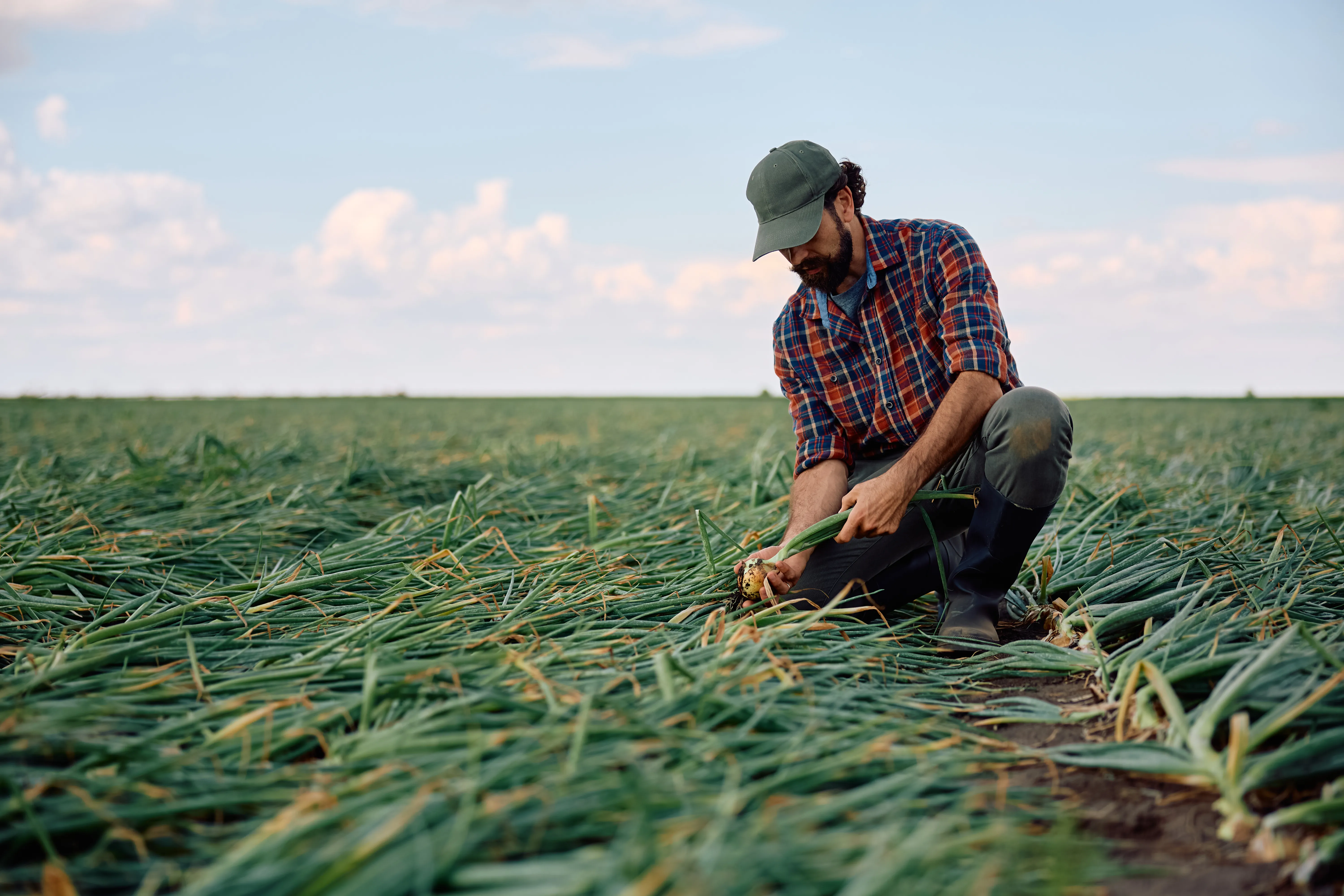 Sistemas de riego y conducción de agua agrícola